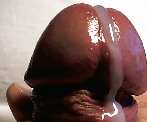 Một con chó seo jav nhỏ, sex trong thang máy